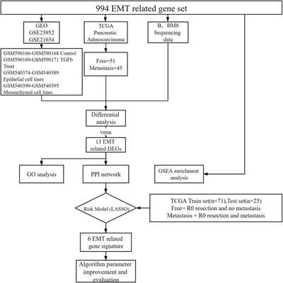 Identification of Key mRNAs as Prediction Models for Early Metastasis of Pancreatic Cancer Based on LASSO